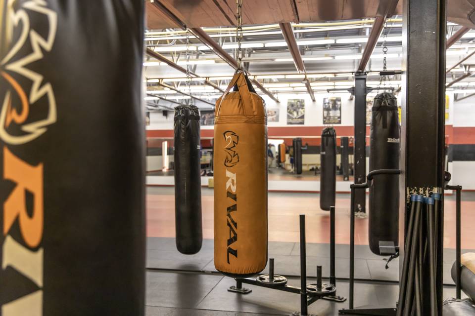 Boxing bags
